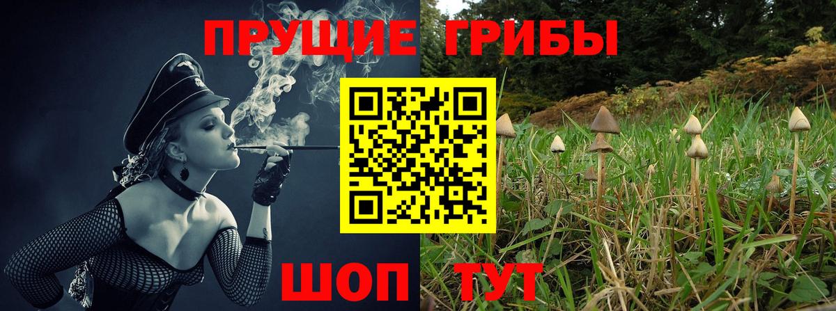 Псилоцибиновые грибы мицелий Татарск